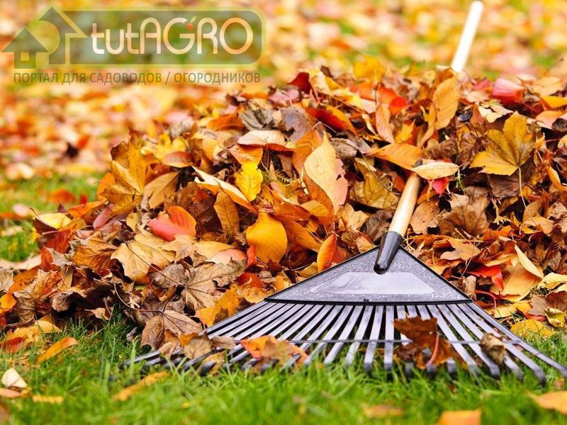 Умный подход к листве - AGROzen